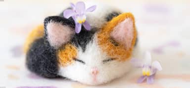 284485603_test_media_1941x906.jpg